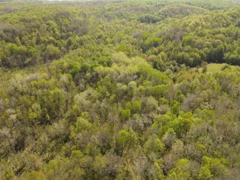 Heavily Wooded 40-Acre Parcel