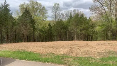 Festus Land in Buck Creek