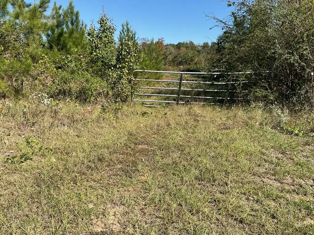 Picture 20