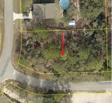Residential Homesite in Weeki Wachee