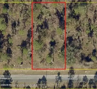 Wooded Homesite in Weeki Wachee