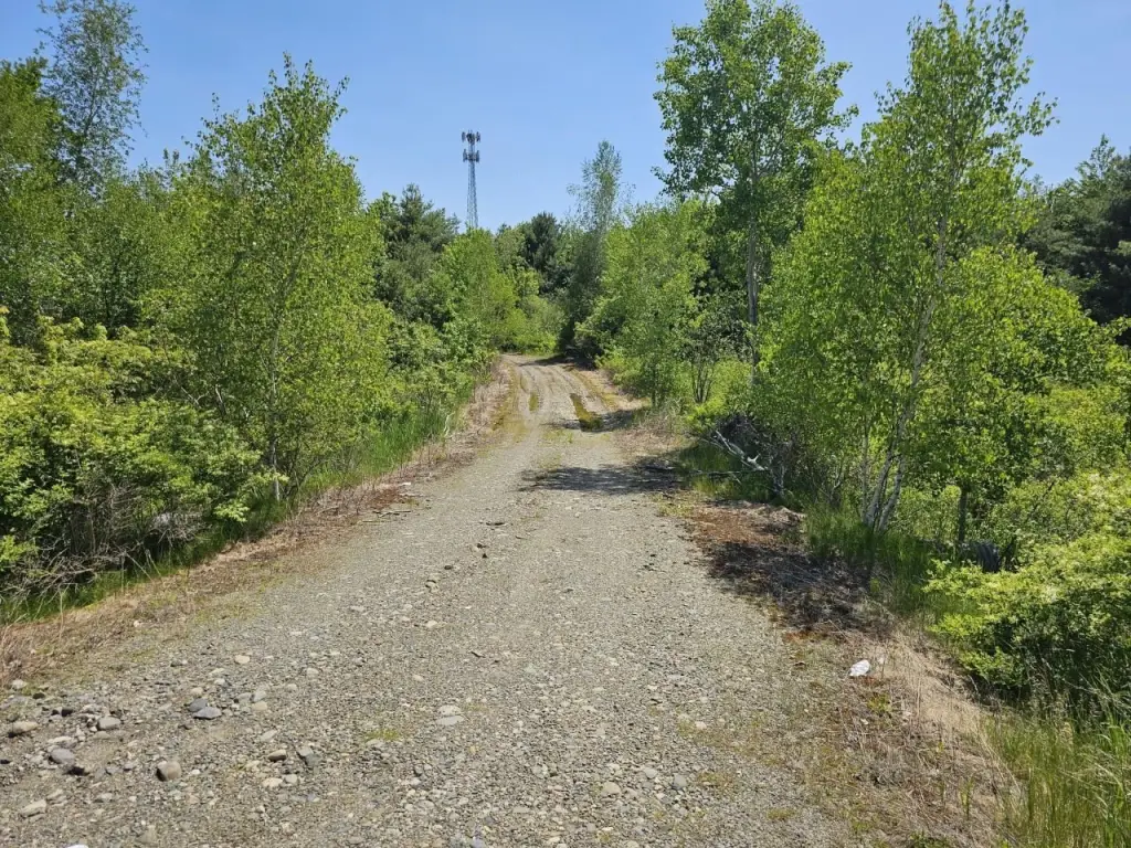 Picture 4