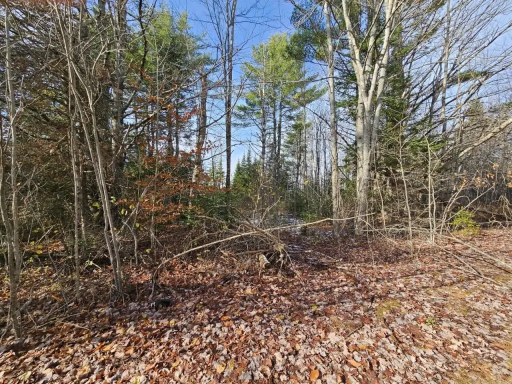 Picture 13