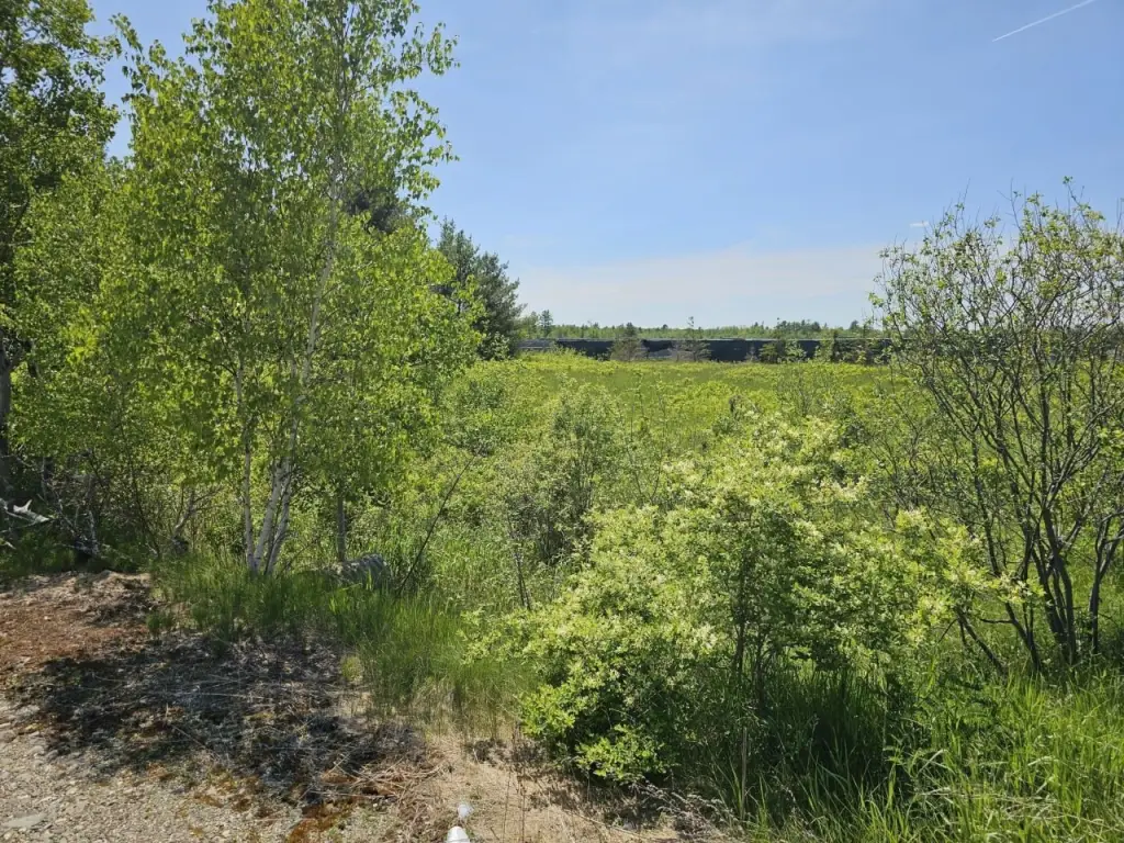 Picture 15