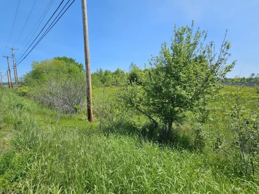 Picture 18