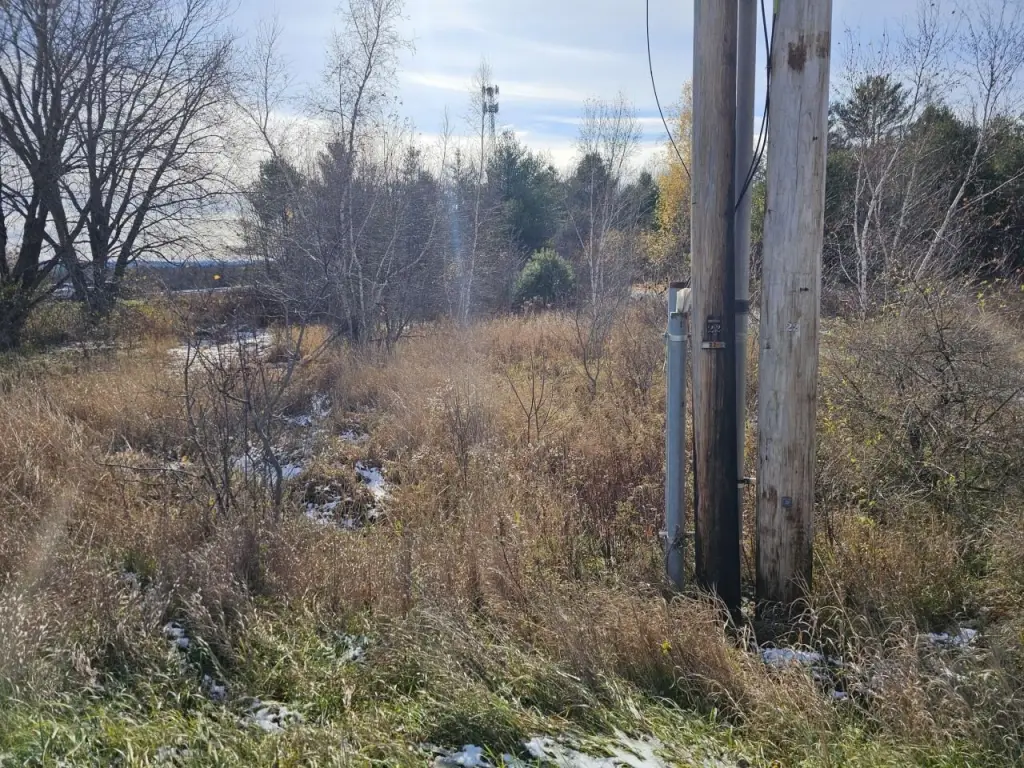 Picture 21
