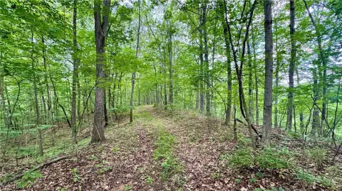 Pleasant City Hunting Land