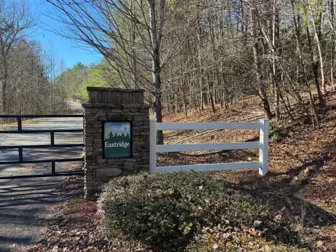 Residential Lot in Ellijay, GA