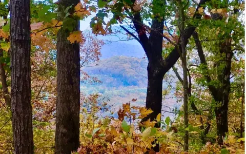 Ellijay Acreage For Sale