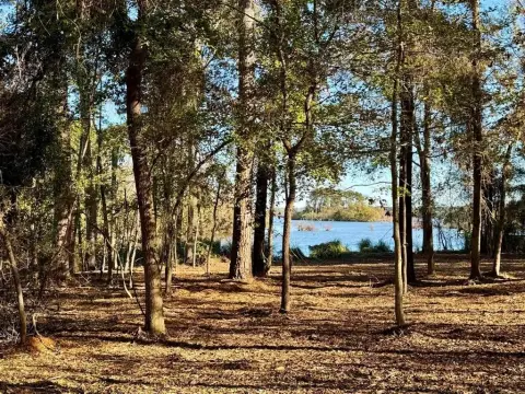 Lake Palestine Acre Homesite