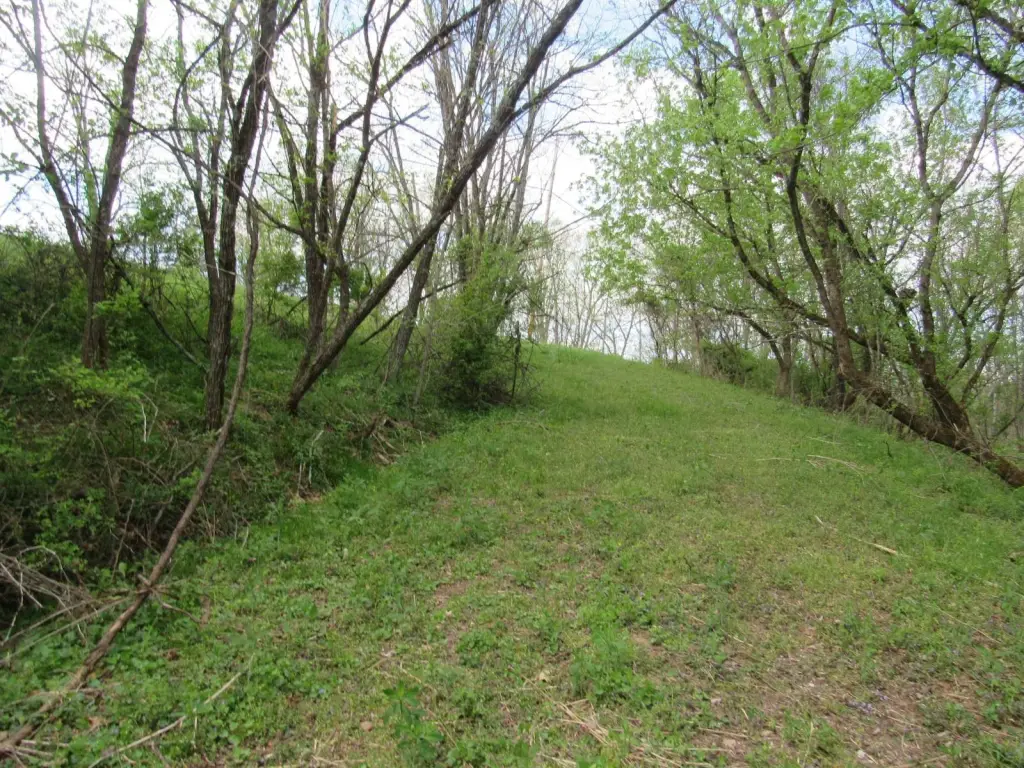 Picture 14