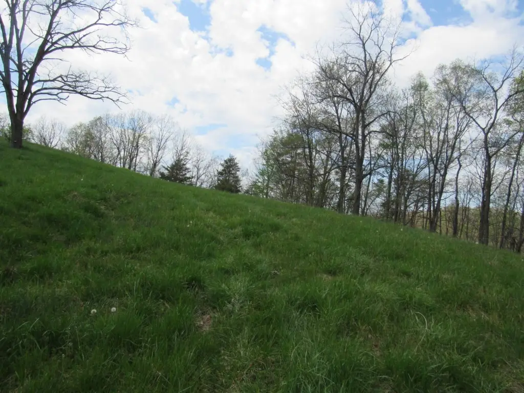 Picture 16