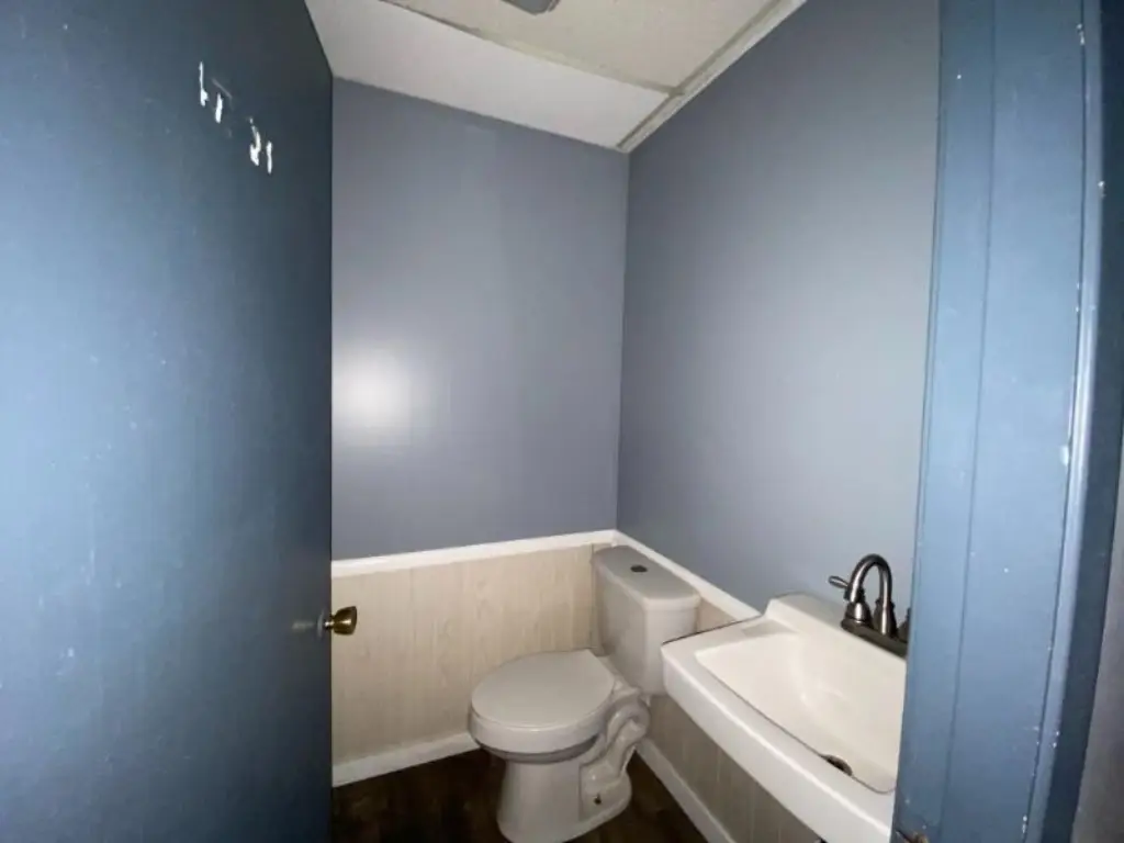 Picture 11