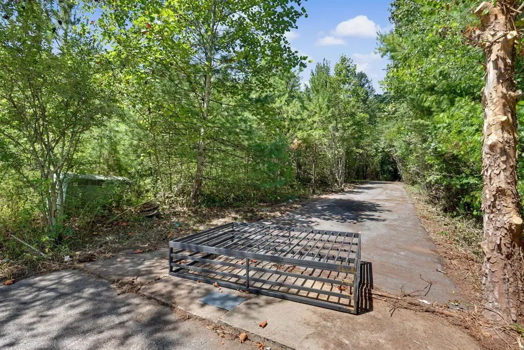 Picture 5