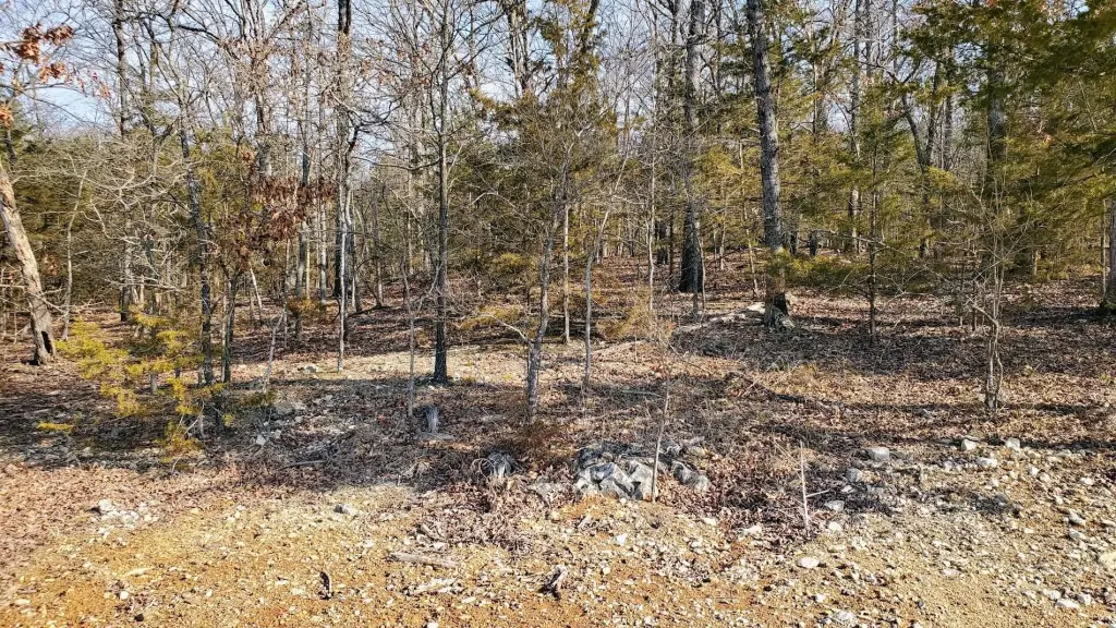 Picture 2