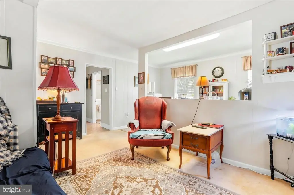 Picture 4