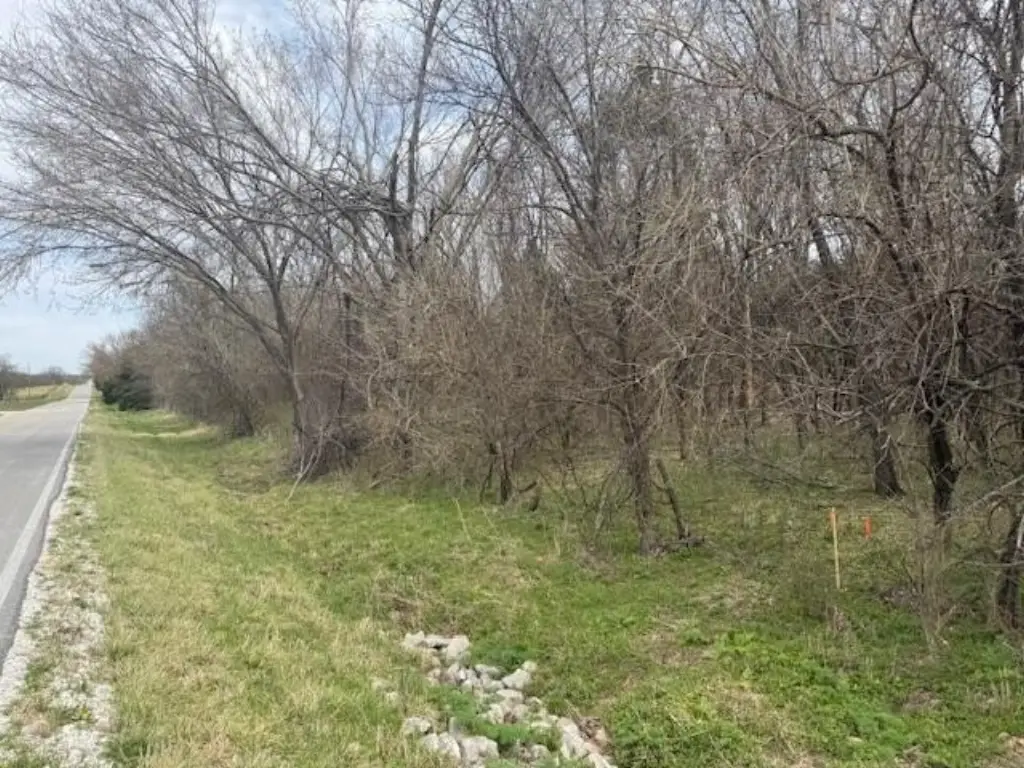 Picture 2