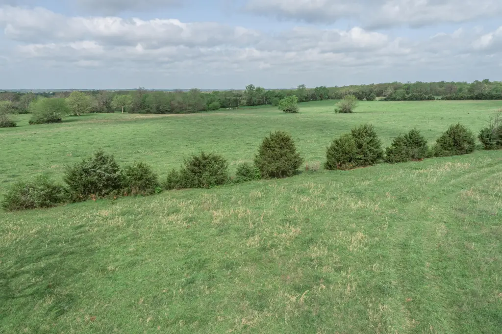Picture 25