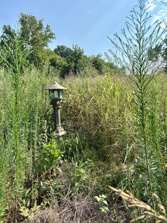 Picture 23
