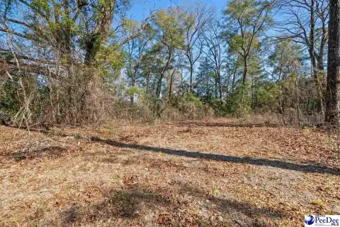 Residential Lot in Florence, SC