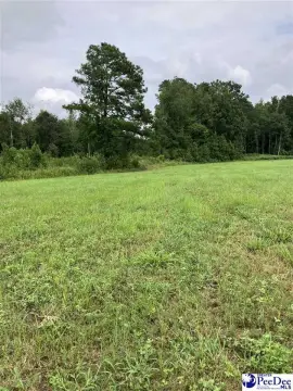 Land For Sale, Kingstree, SC