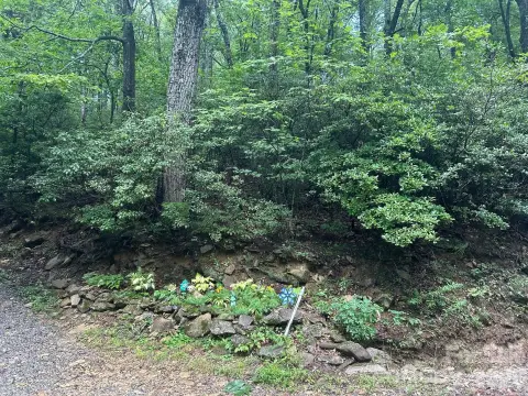 Land in Hickory Acres Community