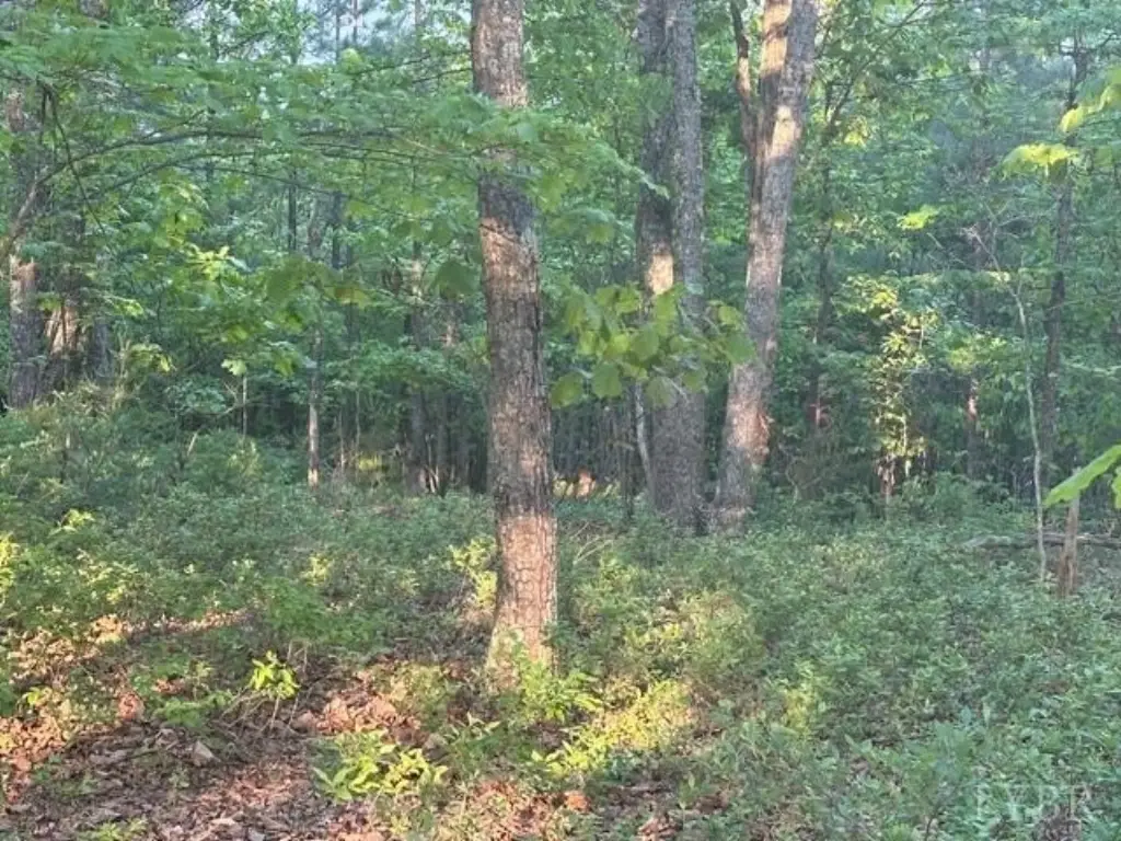 Picture 15