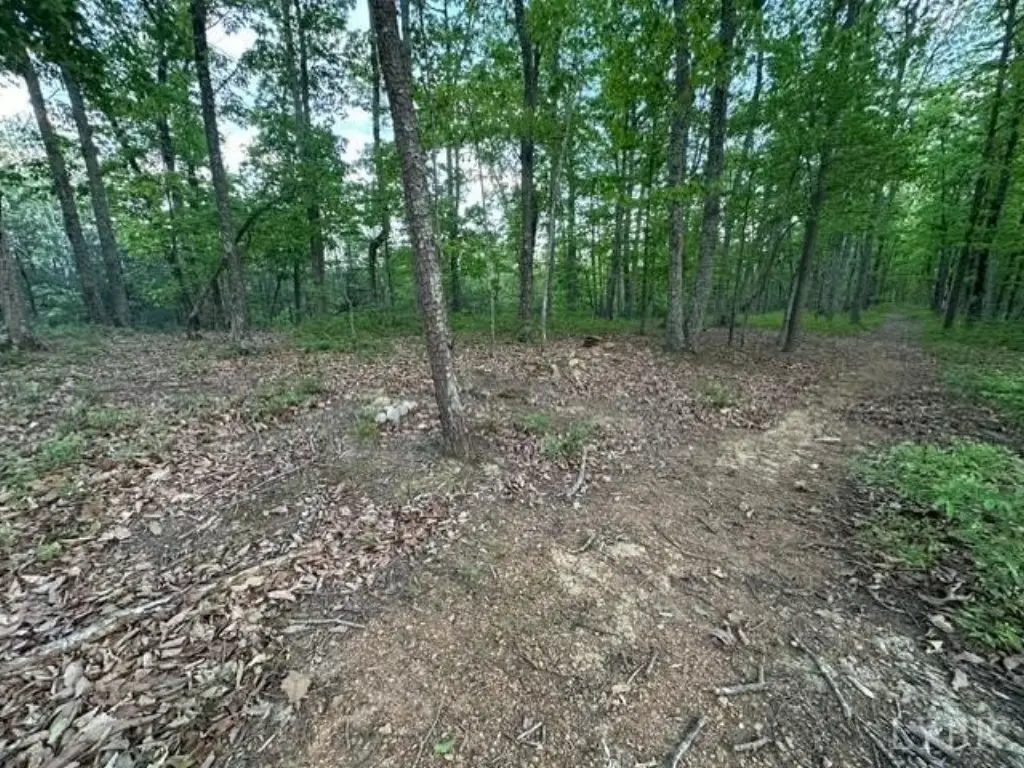 Picture 14