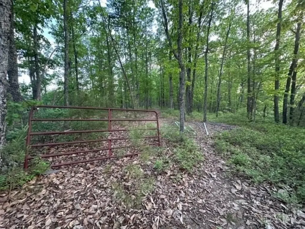 Picture 2