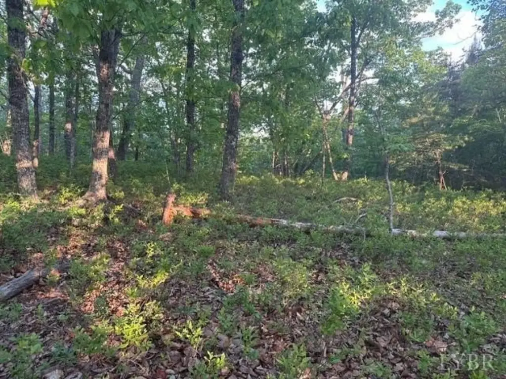 Picture 6