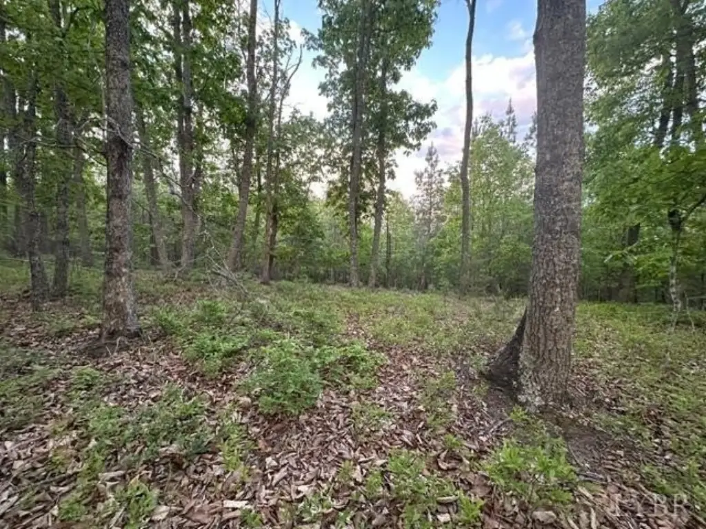 Picture 3