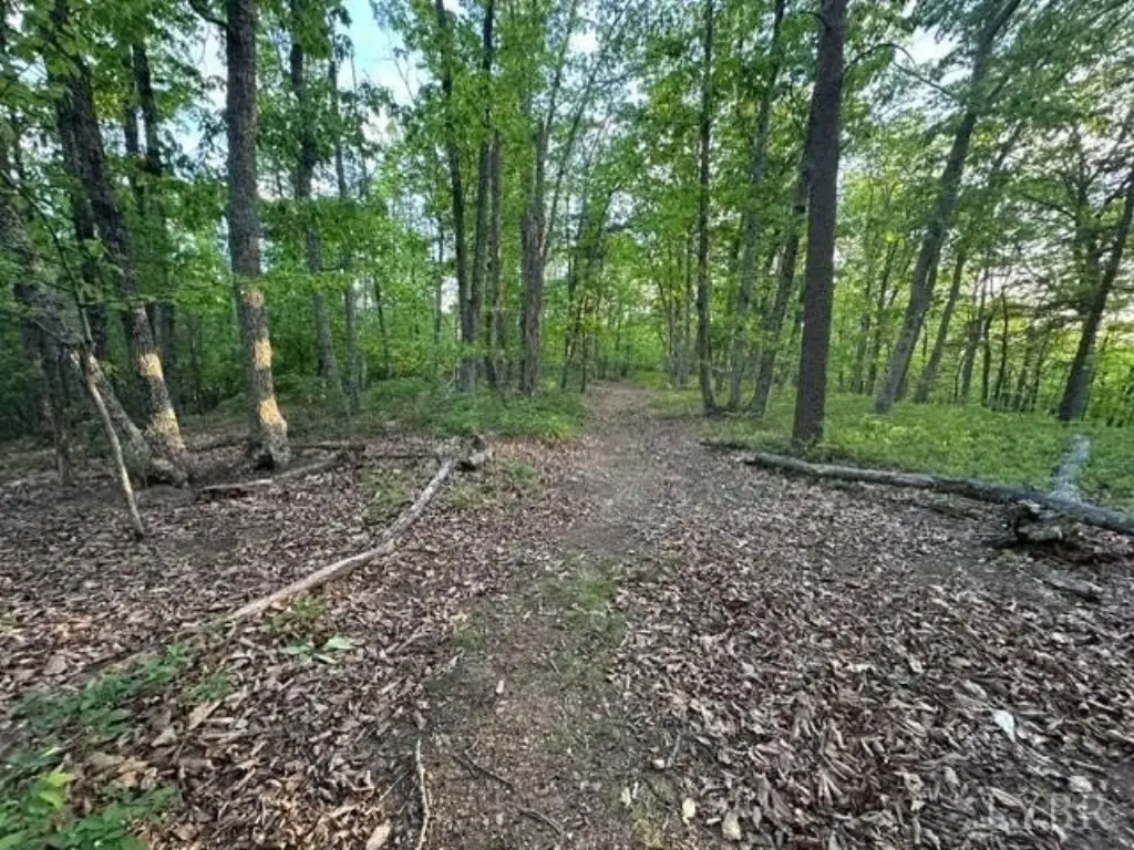 Picture 9