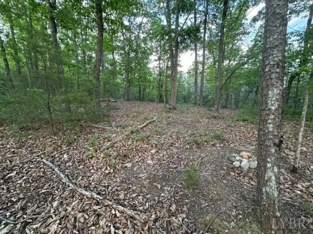 Picture 13