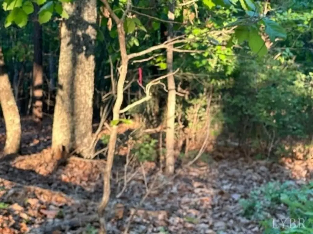 Picture 16