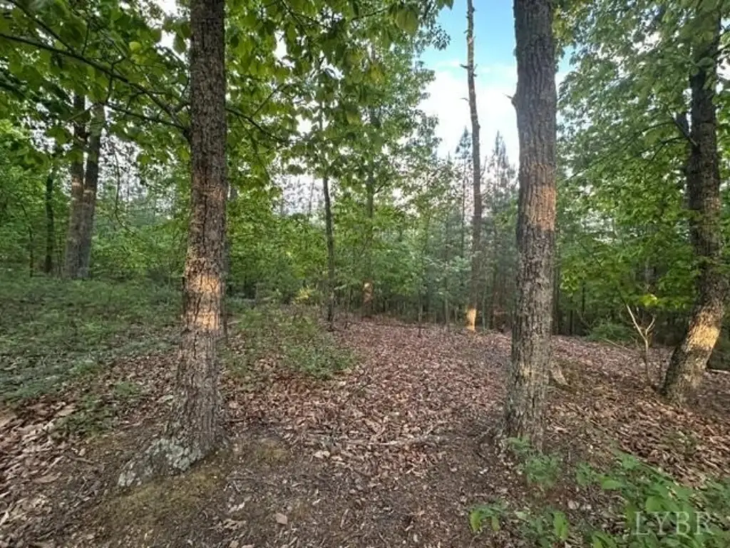 Picture 8