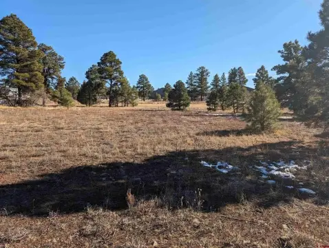 Pagosa Springs Land For Sale
