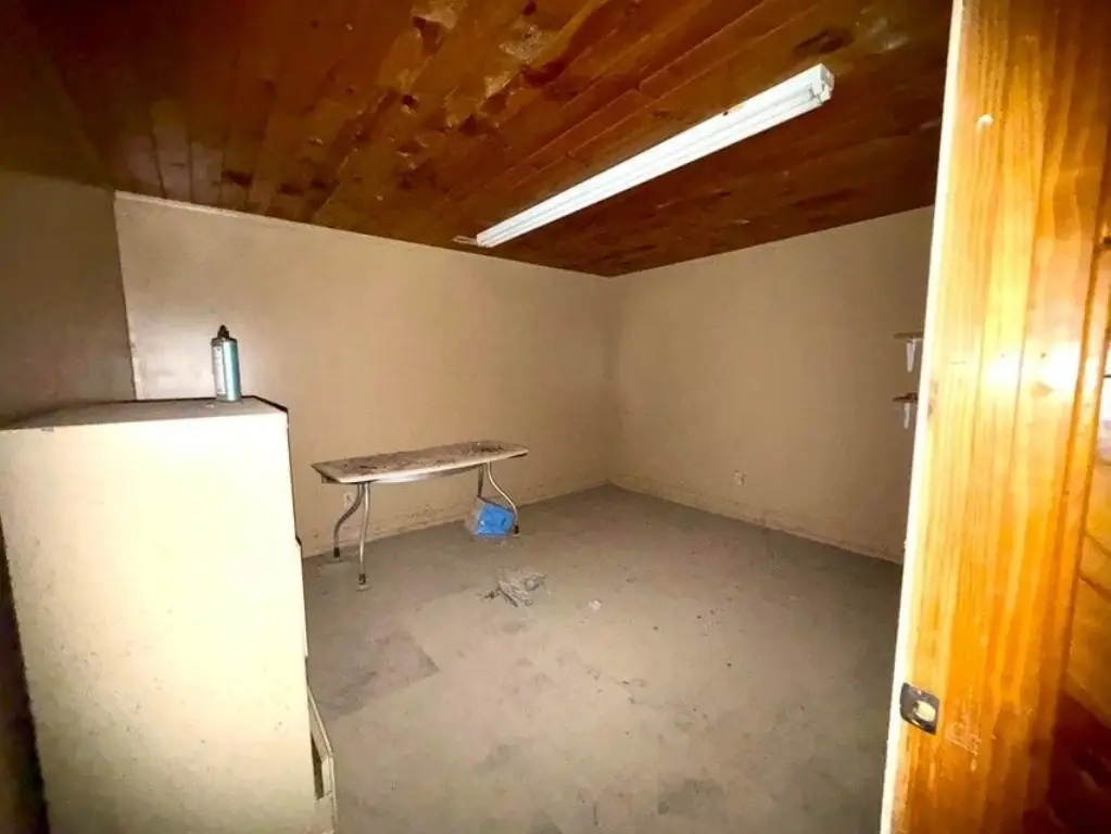 Picture 5