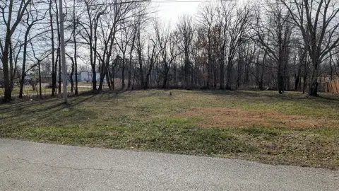 Residential Lot in Rogersville, MO