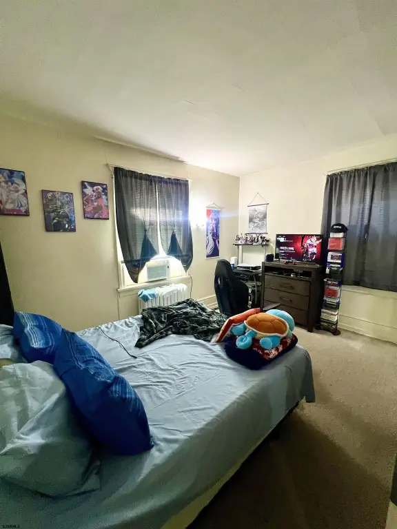 Picture 11