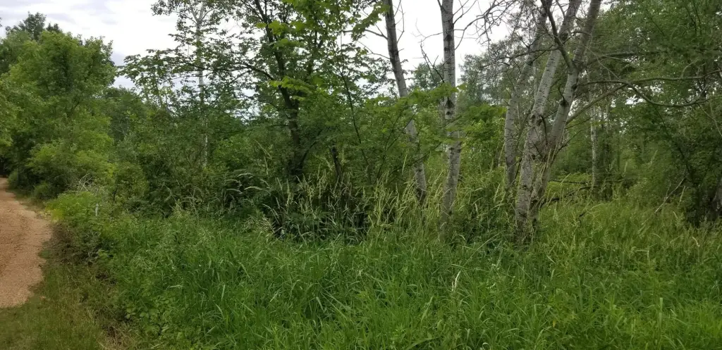Picture 3