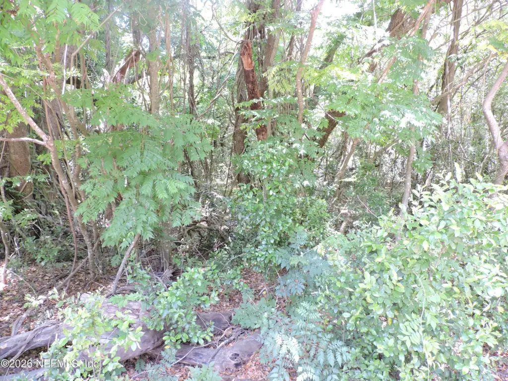 Picture 14