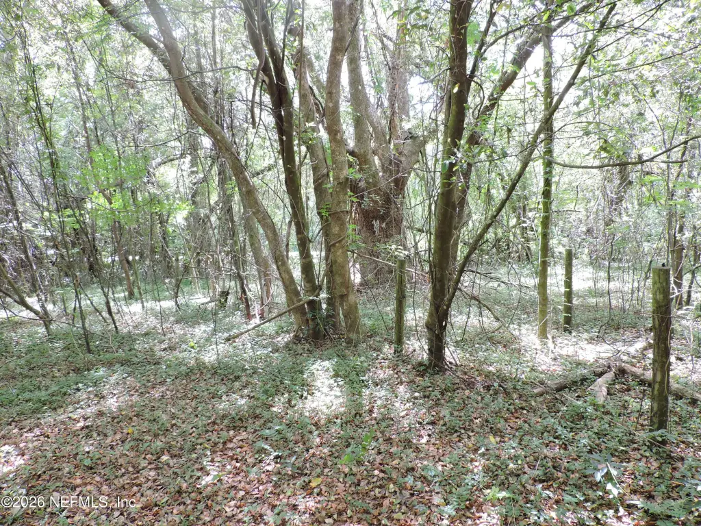 Picture 25
