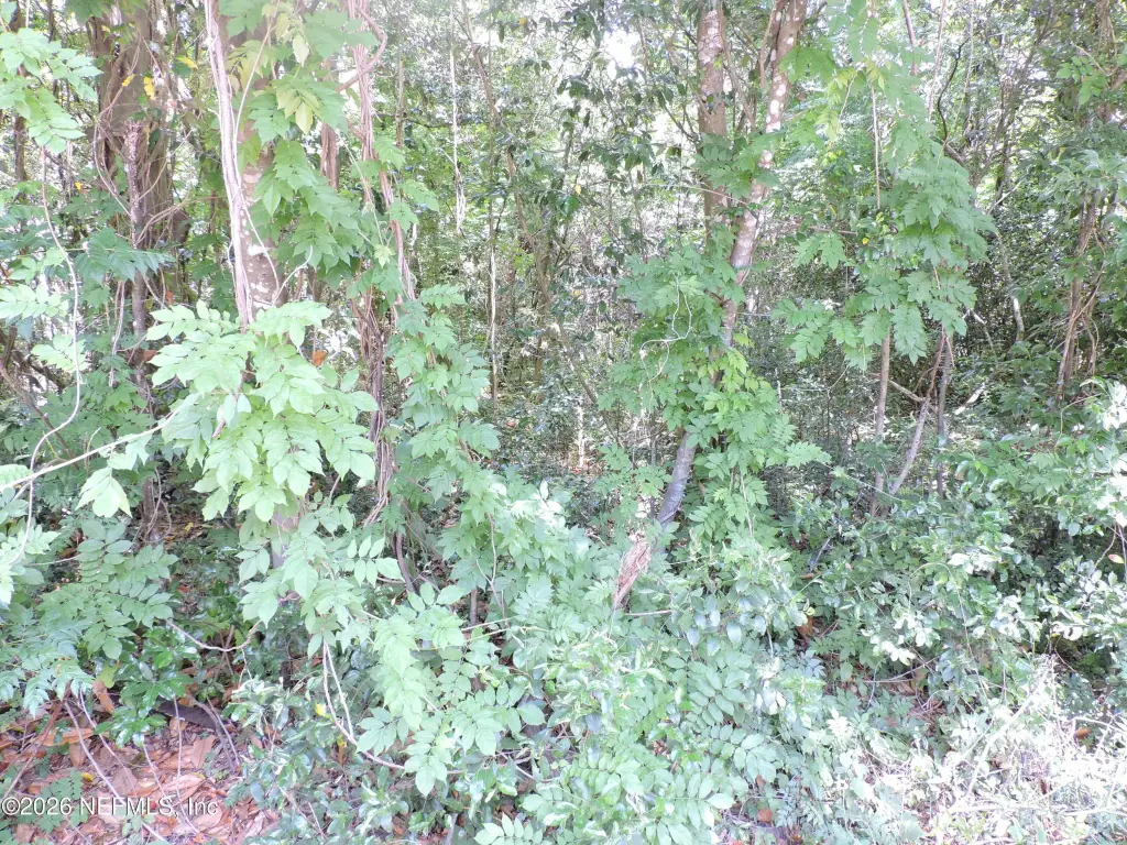 Picture 13