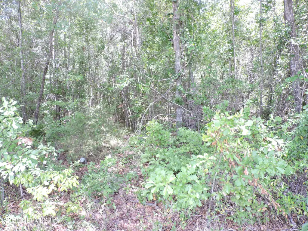 Picture 10
