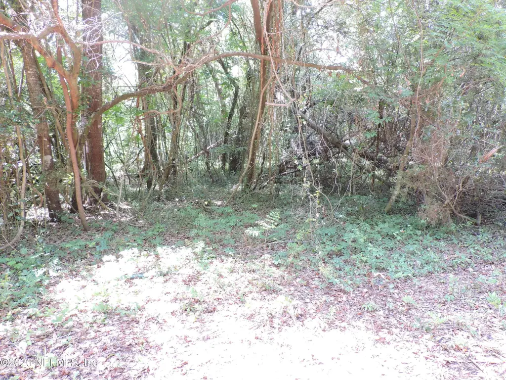Picture 17