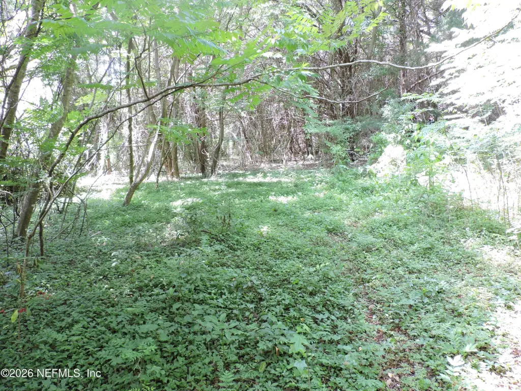 Picture 22