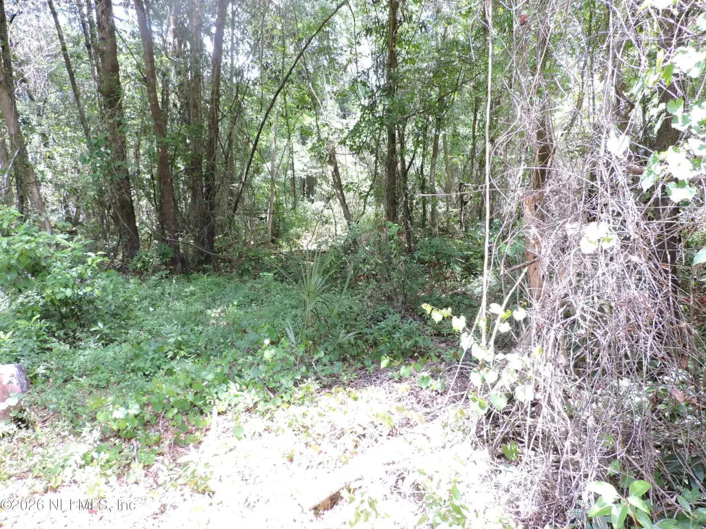 Picture 18