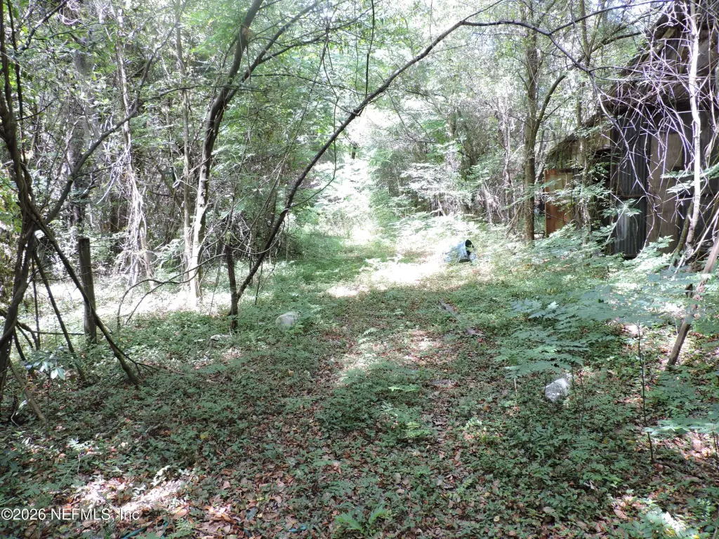 Picture 20