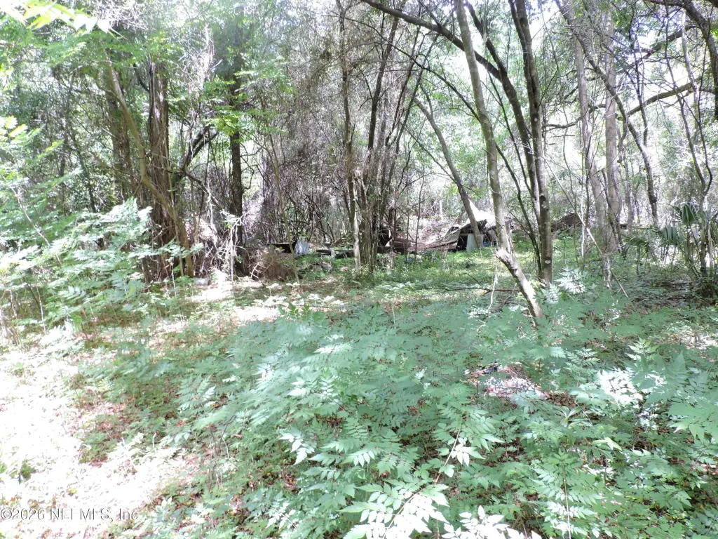 Picture 23
