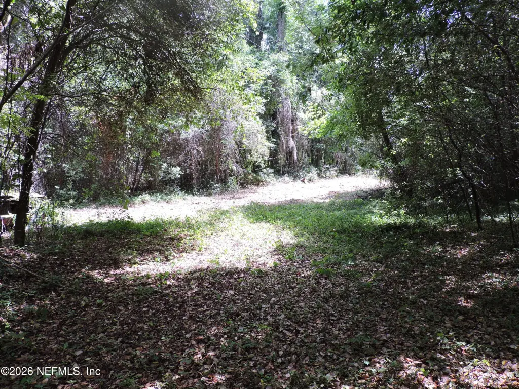 Picture 26